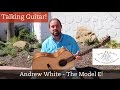 Talking Guitar - Andrew White introduces the Model E - SBAIC 2016