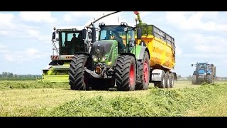 Kiszonka  z Lucerny 2020 ☆Fendt ☆2xClaas ☆3x New Holland