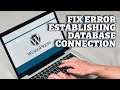 How to Fix the Error Establishing a Database Connection in WordPress 2025?