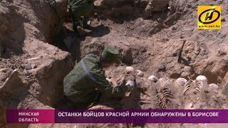 Братскую могилу, предположительно, солдат Красной Армии обнаружили в Борисове