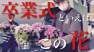 〈3月の花と言えば？〉365日休まない花栽培のプロの元へお邪魔しました！