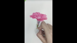 【彩鉛教學】彩鉛超詳細講解 牽牛花的畫法丨color pencil drawing