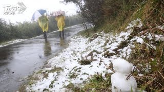 一起追雪去！陽明山飄起片片雪花