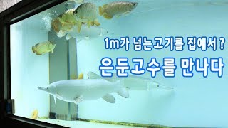 업자보다 더한 매니아분의 탐방기를 다녀왔습니다.