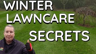 How I green up my lawn in winter (EASY)  with a bonus tip (Worms)