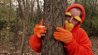 ASMR Lorax | Giving the Trees a Massage