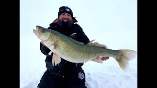 GIANT Lake Winnipeg Greenback Walleyes with Blackwater cats Outfitters (31\