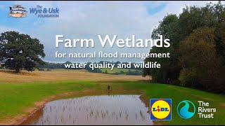 The Wye and Usk Foundation, Lidl, Rivers Trust farm wetland