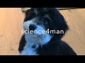 the science of panting in dogs