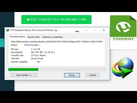 HOW TO DOWNLOAD TORRENT FILE USING IDM - YouTube