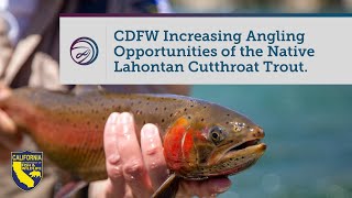 CDFW Providing Angling Opportunities Through Lahontan Cutthroat Trout Stocking