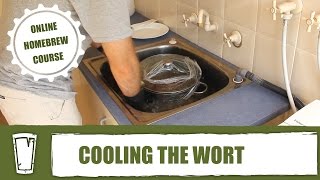 Cooling your wort || Online all grain homebrewing course