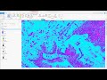 Raster Processing Using Functions & Geoprocessing Tools in ArcGIS Pro