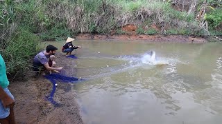 FISHING AND WEIGHING THE PIRARUCU