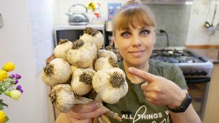 Чеснок, посаженый ТАКИМ способом, ОЧЕНЬ удивит вас УРОЖАЕМ! Как сажать озимый чеснок