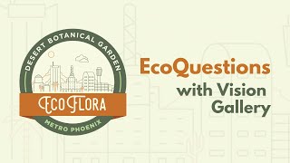 EcoQuestions: Vision Gallery