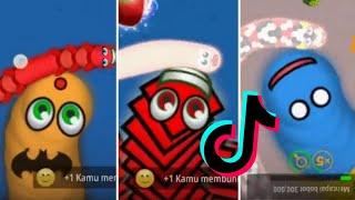 TikTok WormsZone io Compilation Video ( Best Tik Tok Worms Zone io Gameplay Compilation ) #3