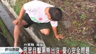 20110711-公視晚間新聞-火車險撞上黑熊 養蜂場疑熊騷擾.mpg