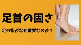 【なぜ足の指が固いと、足首も固くなるのか？】「足首を柔らかくした人」がやるべき足の指＆足首のセルフケア方法【愛媛県松山市　ピラティス・痛み改善・姿勢改善】