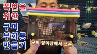 구피 폭번을 위한 구피 부화통 만들기 | 구피 양어장에서 쓰는 부화통 DIY