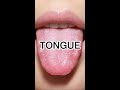 Tongue myths DEBUNKED #shorts #anatomy #science #health