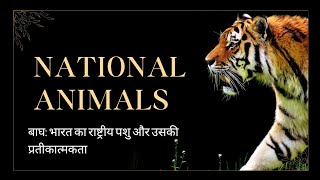 National animals of India | tiger history | #history #study #story #biography #animals #tiger