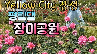 평림댐 장미공원 Yellow City 장성 전라남도 가볼만한 곳