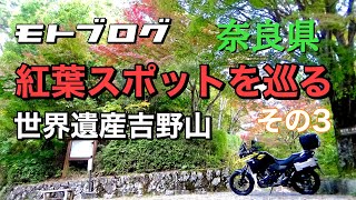 【モトブログ】奈良県紅葉スポットを巡るその3世界遺産 吉野山#vストローム #吉野山 #モトブログ