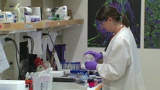 Upstate doctors, researchers looking into groundbreaking screening for ovarian cancer