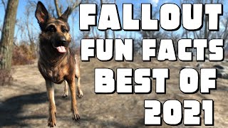 Fallout Series Fun Facts | Best of 2021