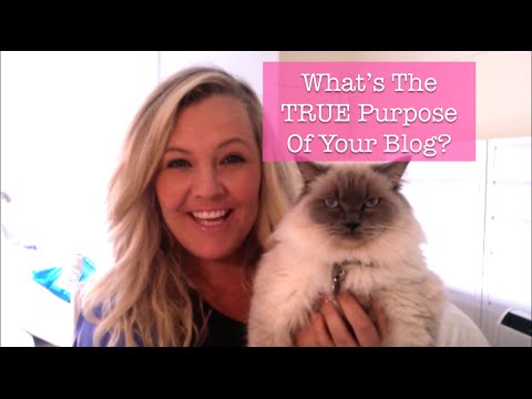 Which of the following is the correct purpose of a blog?