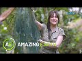 Amazing Earth: Catch and Cook with Bea Alonzo!