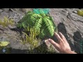 How to get berries - ARK: Survival Evolved