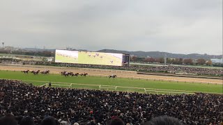 【現地】2023年 第43回ジャパンカップ 直線の攻防 イクイノックス圧勝