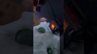 Noooooo, quick release#icefishinglife #fishing #fish #catchandrelease #fishingvideo #outdoors #fun