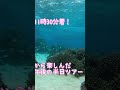 【石垣島】11時30分のフライトで到着後はシュノーケリング！2月21日ツアー動画