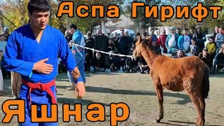 Яшнар Пахлавон Харифи Худро Зад Аспа Гирифт (( Катта Кураш ))