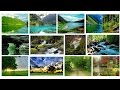 How to Download Bing Images Using PHP & cURL