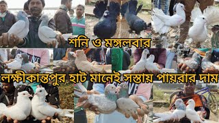 জেনে নিন আরো একবার লক্ষীকান্তপুরের পায়রার হাটে কিভাবে আসবেন Season-2025 @pigeonsloverrj9600