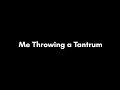 me throwing a tantrum but i autotuned it