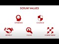 rsb module 3 scrum values