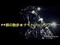 🎌豚の散歩🌟ナイトツーリング🎌