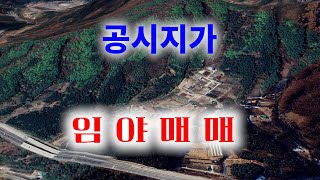 [1271][임야매매] 공시지가로 내 놓은 임야입니다.