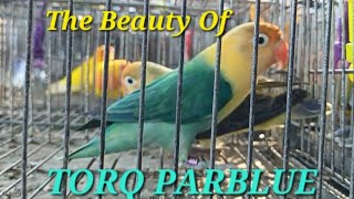 Hulong Duhat Pet Market Malabon part 1