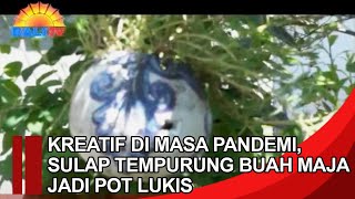 KREATIF DI MASA PANDEMI, SULAP TEMPURUNG BUAH MAJA JADI POT LUKIS