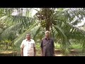 coconut Farmer feedback of Thiruvaiyaru 3 #coconutDr.V.S.Selvam