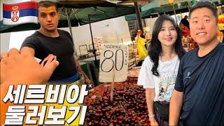 🇷🇸 물 보다 싼 체리 🍒 1킬로에 얼마요? 세르비아 매력 퐁당  🏊🏼‍♂️💦 EP41