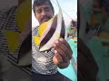 🐠 ஏஞ்சல் மீன் 🐠 Angel fish | Meen Pidipom #chennai #fish #fishing #lake #meen #angler #ballset