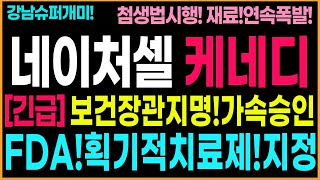 [네이처셀 주가 전망]케네디보건장관!조인트스텝!가속승인!획기적치료제!줄기세포시장열렸다!