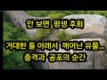 안 보면 평생 후회 거대한 돌 아래서 깨어난 유물…충격과 공포의 순간 /금속탐지기 탐험 탐사 여가생활 취미생활 보물찾기 골동품